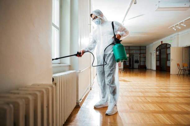 Best Affordable Pest Control Services  in Harleigh, PA